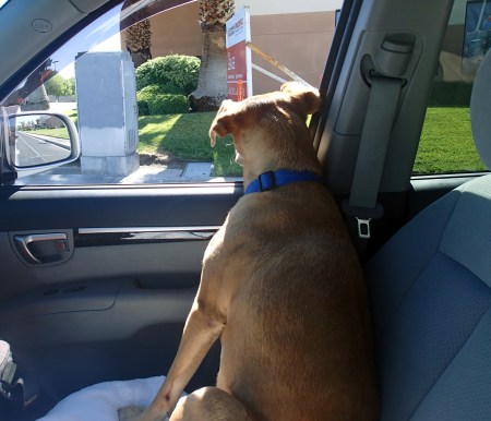 Maddy sitting in front seat
