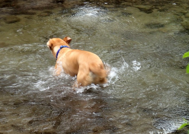 Boy this water is cold!