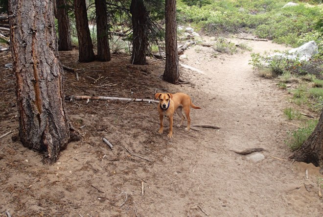 Dad was a slow-poke.  I kept having to wait on him!