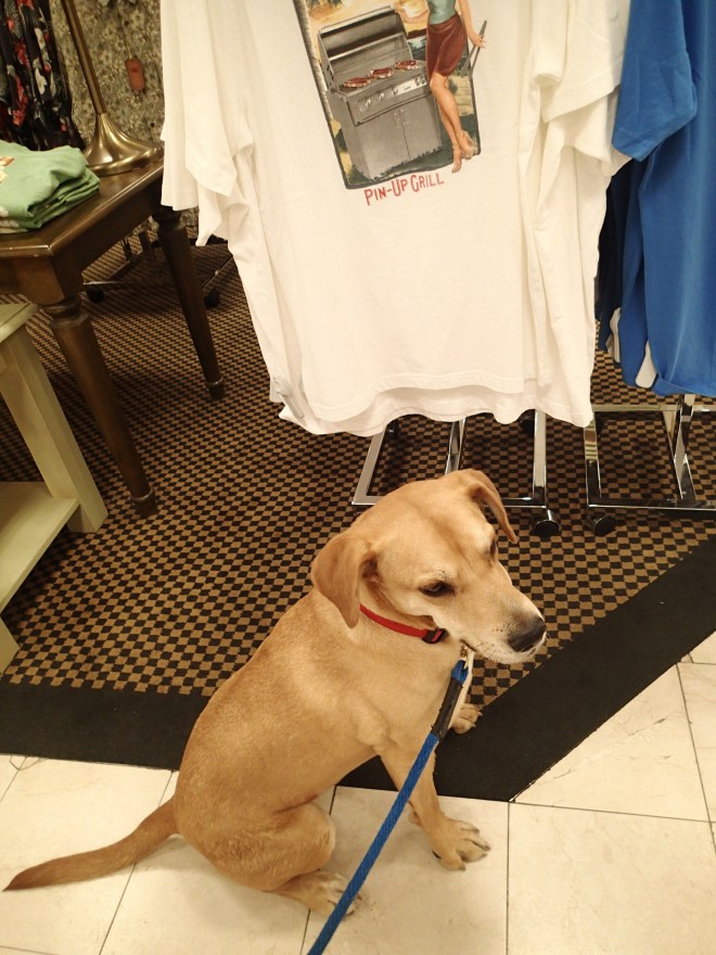 Shopping at Macy's at Biltmore Fashion