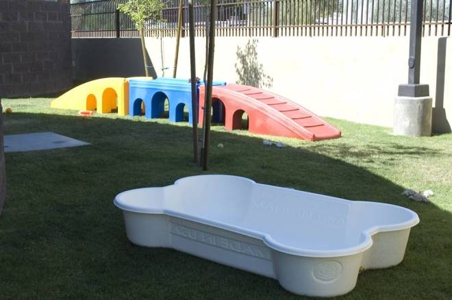 The "Yard" at Tailwinds