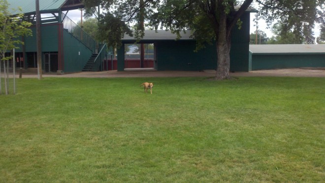 Susamville - Memorial Park