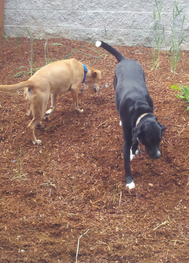 2013-06-27_16-04-31_804