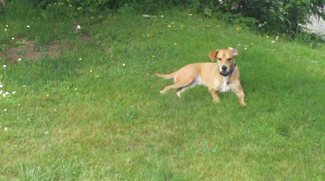 2013-07-01_13-00-36_375