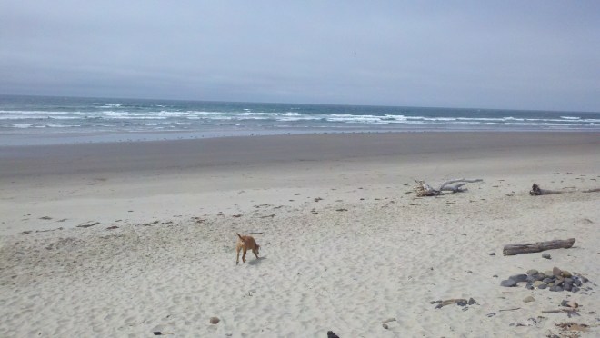 2013-07-01_14-57-15_750