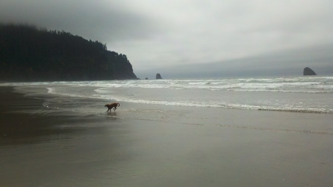 2013-07-01_14-59-29_525