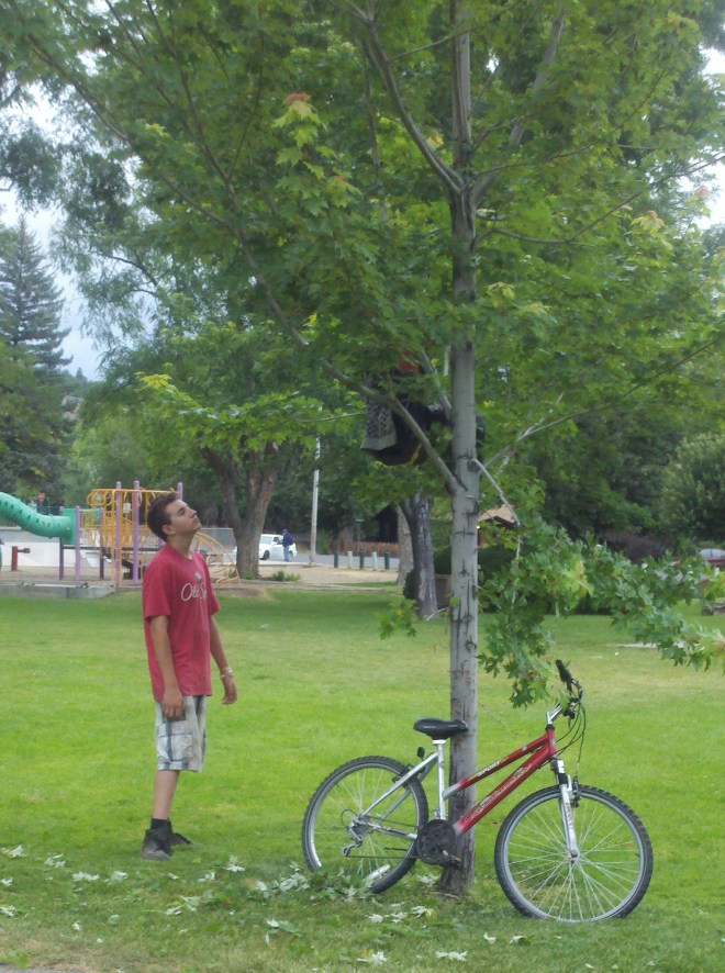 Climbing a tree to get kite