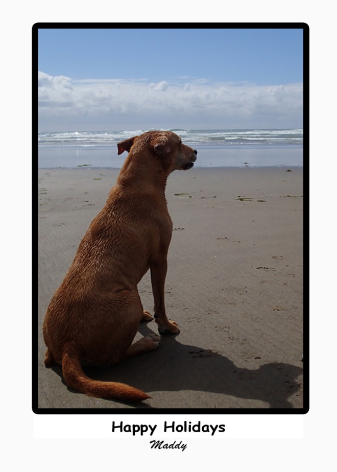 Christmas Card 2013  Maddy  5x7_edited-1