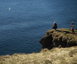 bird Cliffs 3 don't fall