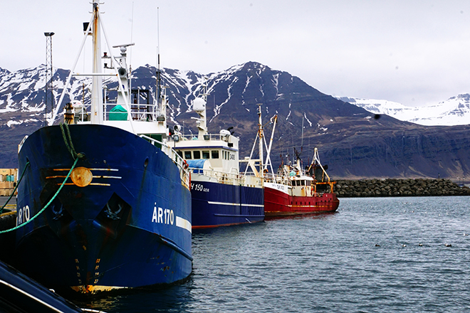 Boats in Djúpivogur sm