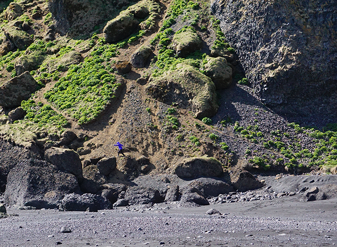 Di the Mountain goat