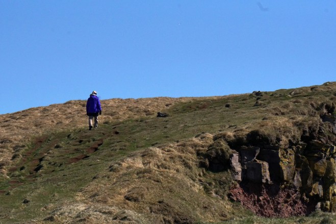 di to the top bird cliffs