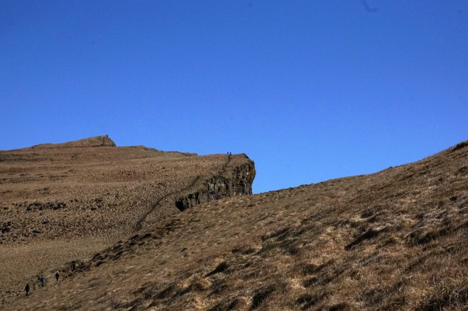 di to the top bird cliffs2