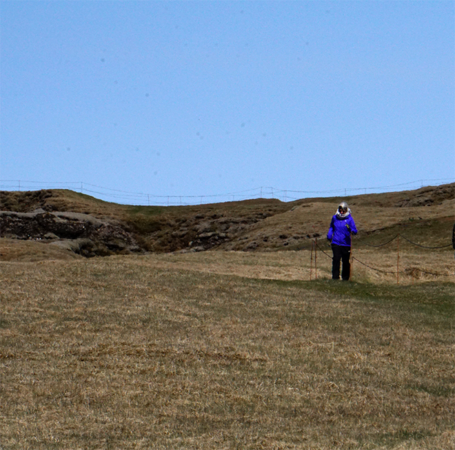 Fjaðrárgljúfur canyon Day 10052216001