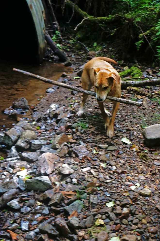 Indian-Beach-7_22_16-Maddy-2-web