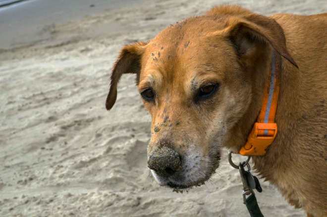 Indian-Beach-7_22_16-Maddy-3-WEB