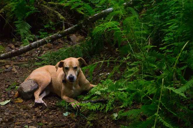 Indian-Beach-7_22_16_Maddy-1-WEB