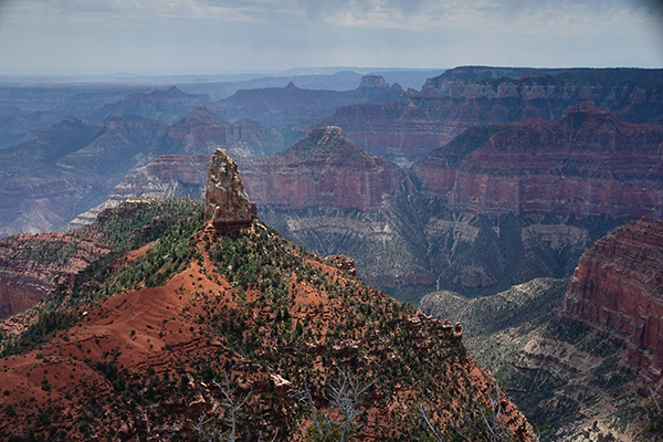 North Rim Grand Canyon